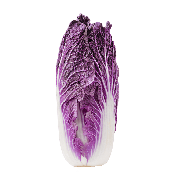 Merlot Napa Cabbage