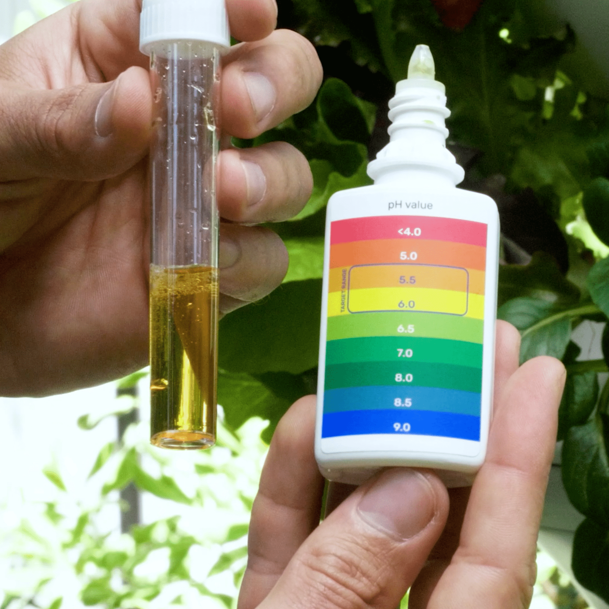 pH Test Kit - Lettuce Grow