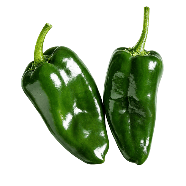 Poblano Pepper