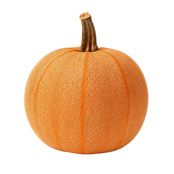 pumpkin_grande.png?v=1781776695