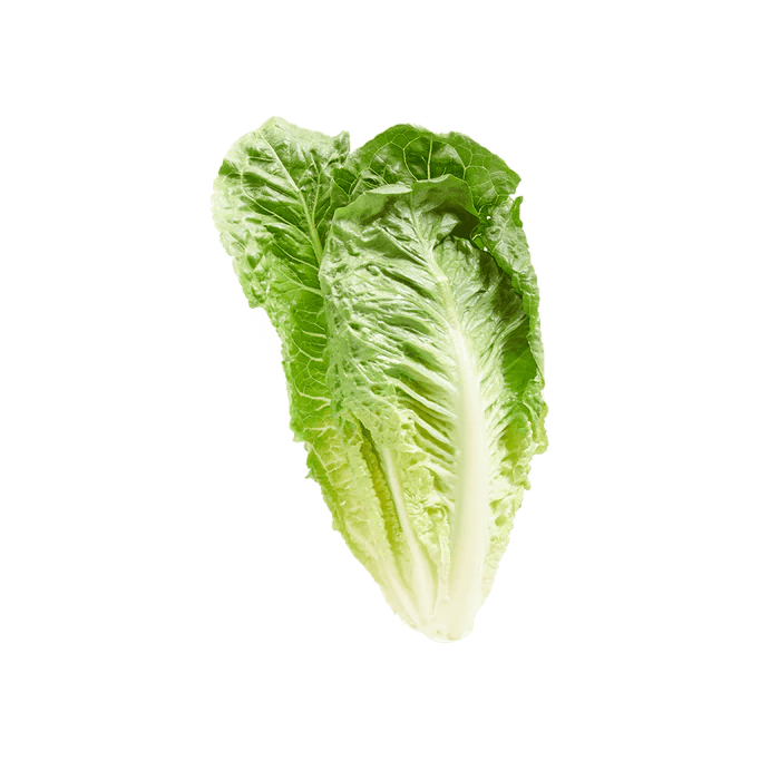 Romaine 🇬🇧