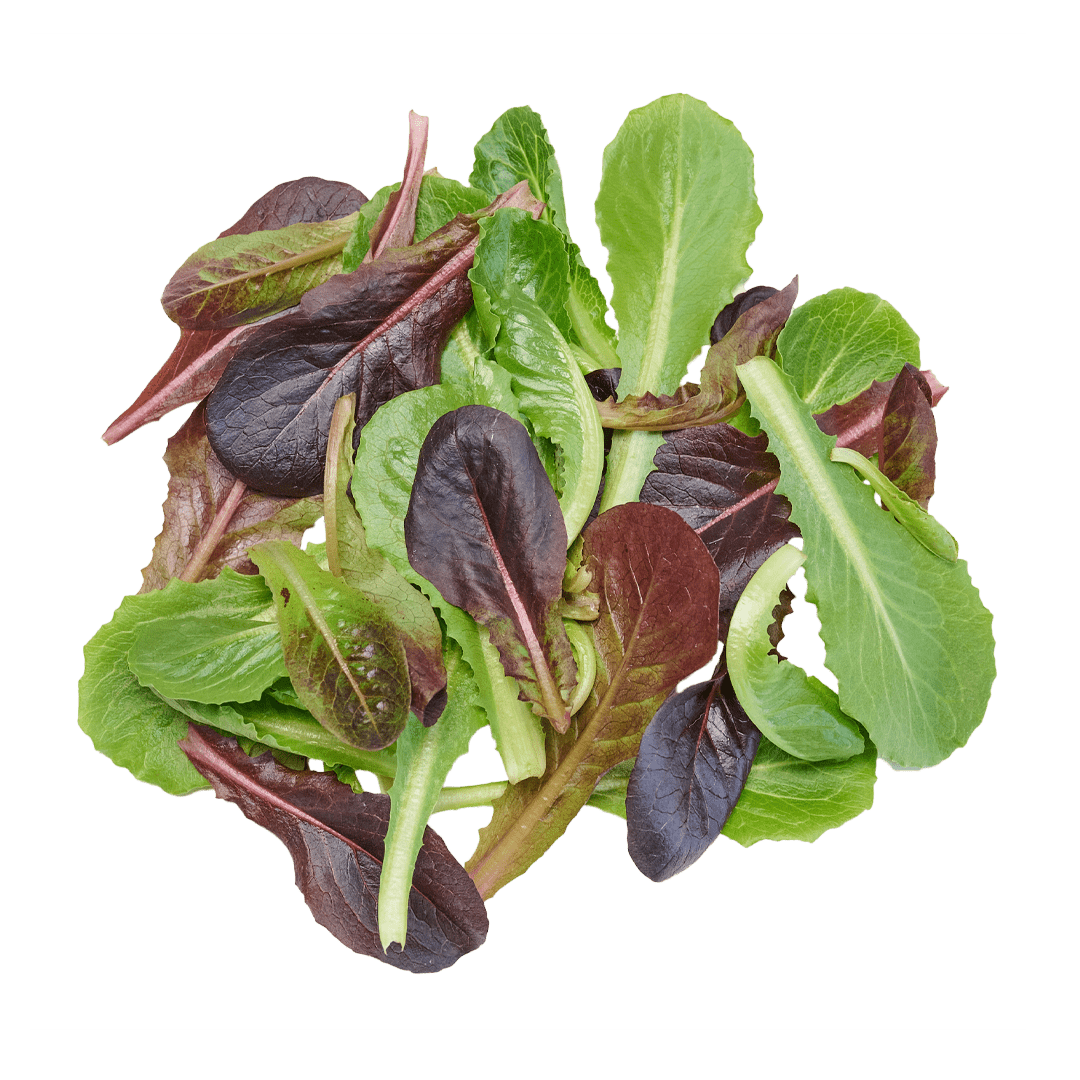 Romaine Lettuce Trio