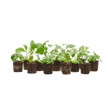 Grow Pack (30 Credits)