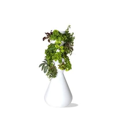24-Plant Farmstand (FBA) - Lettuce Grow