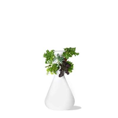 Indoor 12-Plant Farmstand (FBA) - Lettuce Grow