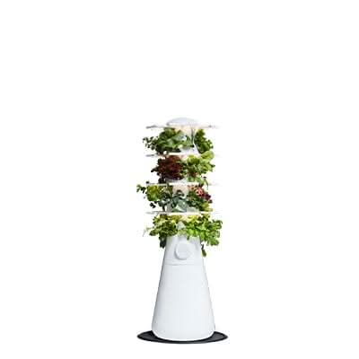 Farmstand Nook Credit - Lettuce Grow
