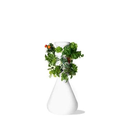 Indoor 18-Plant Farmstand (FBA) - Lettuce Grow